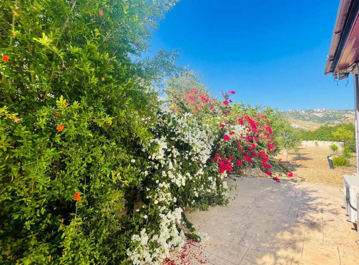 Beautiful Home Pafos Exterior foto